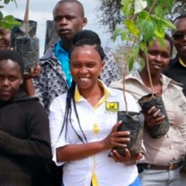 Kenya Film Commission Conducts CSR In Konza City