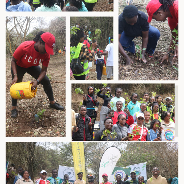 KFC Champions Environmental Conservation at Plant & Paint Mazingira Art Festival
